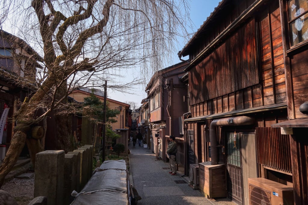 主計町茶屋街 櫻花樹與巷弄街景