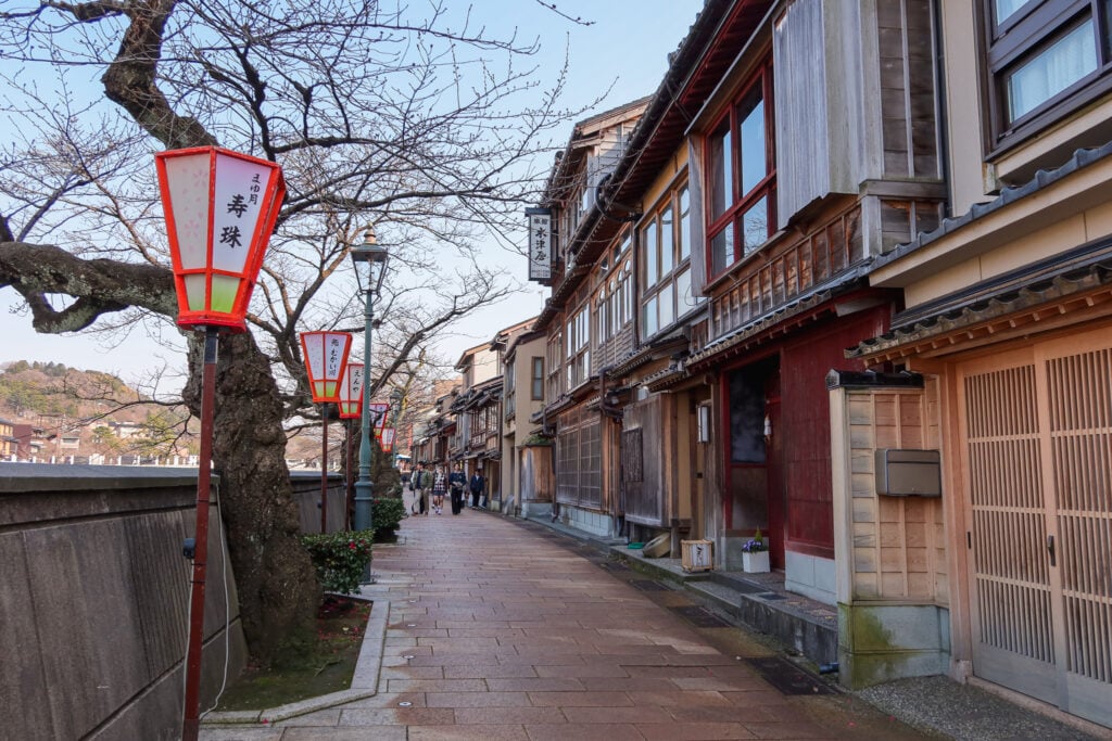 主計町茶屋街 燈籠、櫻花樹與茶屋建築並排