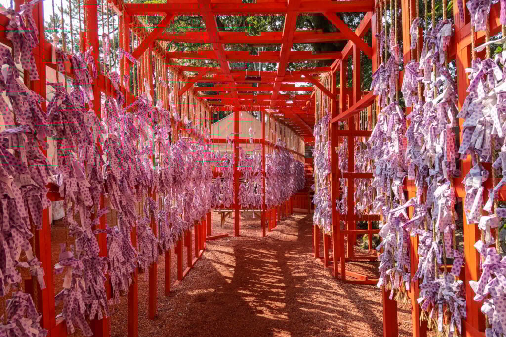 石浦神社 紫色御神籤隧道