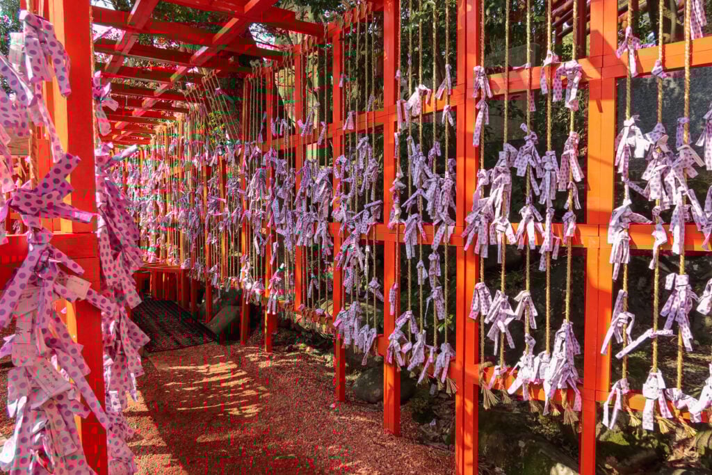 石浦神社 紫色御神籤隧道 側拍